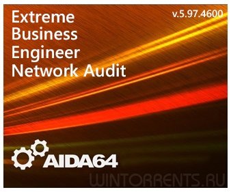 AIDA64 Extreme | Engineer | Business | Network Audit 5.97.4600 RePack (& Portable) by elchupacabra (2018) [Multi/Rus]