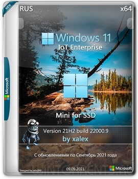 Windows 11 IoT Enterprise x64 Mini 22000.9 for SSD by xalex