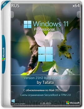 Windows 11 Professional (x64) 22000.675 by Tatata