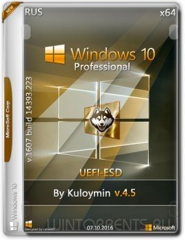 Windows 10 Pro by kuloymin v.4.5 (UEFI-esd) (x64) (2016) [Rus]