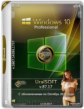 Windows 10 Pro (x86-x64) 14393.1737 by UralSOFT v.87.17 (2017) [Rus]