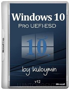 Windows 10 Pro (x86-x64) 1709 by kuloymin v12 (esd) (2018) [Rus]