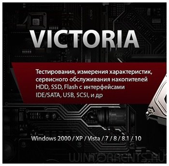 Victoria 4.65b SSD Portable