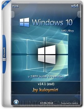 Windows 10 HSL/Pro (x64) 1803 by kuloymin v14.1 (esd)