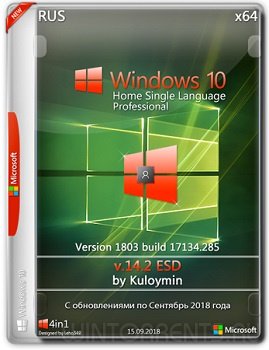 Windows 10 HSL/Pro (x64) 1803 by kuloymin v14.2 (esd)