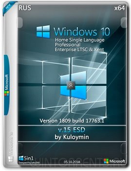 Windows 10 PRO/HSL/LTSC & Kent (x64) 1809 by kuloymin v15 (esd)