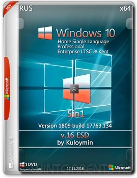 Windows 10 5in1 (x64) v.1809.17763.134 by kuloymin v16 (esd)