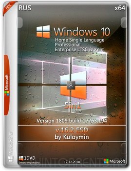 Windows 10 5in1 (x64) v.1809.17763.194 by kuloymin v16.2 (esd)