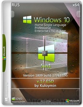 Windows 10 5in1 (x64) 1809 by kuloymin v.17 (esd)