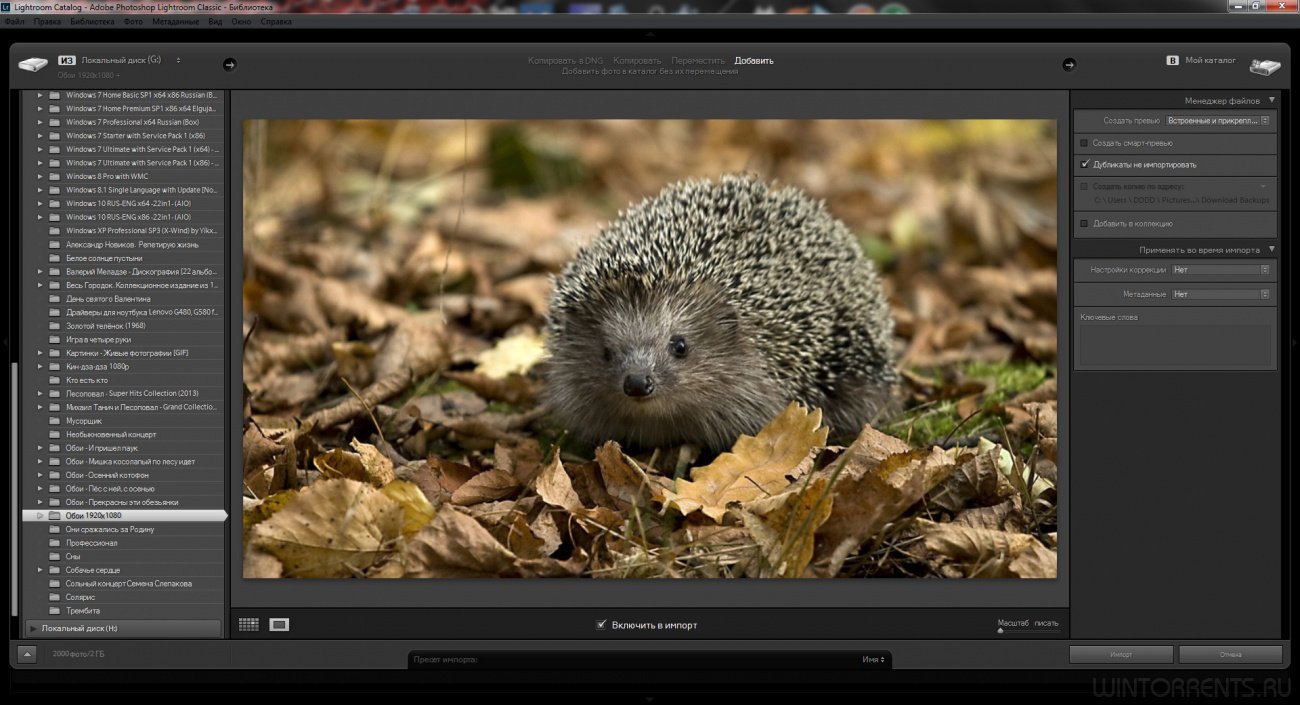 Photoshop для windows 10. Adobe Photoshop Lightroom. Фотошоп Lightroom. Adobe Photoshop Скриншот. Adobe Lightroom Скриншот.