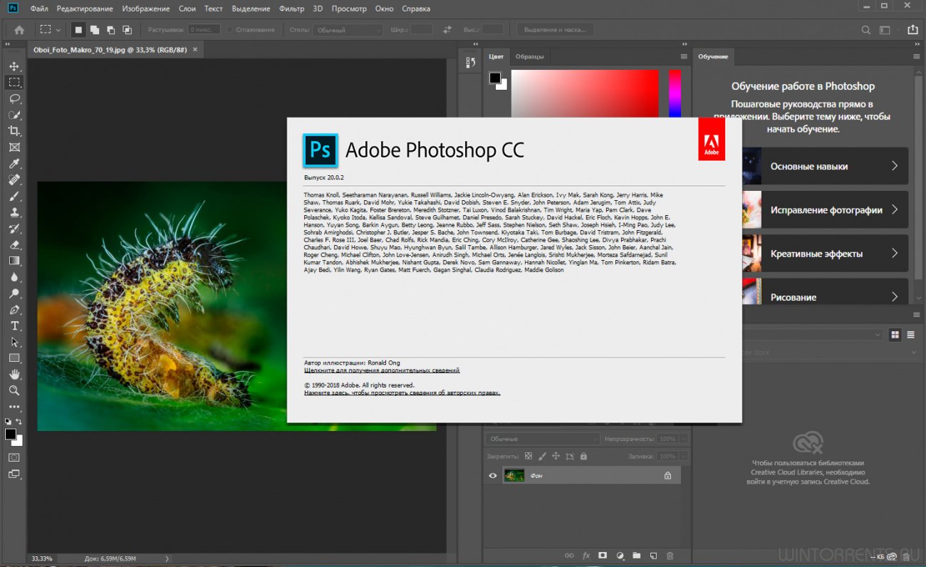 Adobe Photoshop CC 2019 (x64) 20.0.2 RePack by D!akov