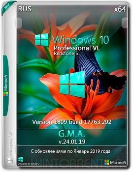 Windows 10 Professional (x64) VL RS5 by G.M.A. v.24.01.19