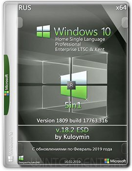 Windows 10 5in1 (x64) 1809.17763.316 ESD by kuloymin v18.2