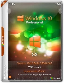 Windows 10 Pro (x64) 20H2.19042.662 GX v.05.12.20