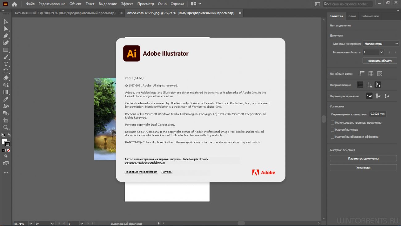 Adobe Illustrator 2021 25.3.1.390 RePack by KpoJIuK