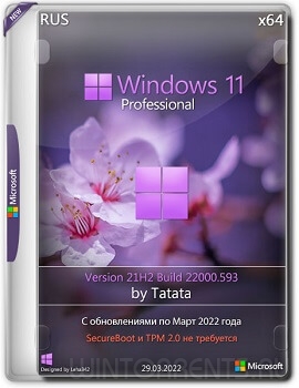 Windows 11 Professional (x64) 22000.593 by Tatata