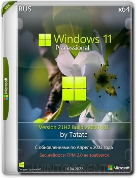 Windows 11 Professional (x64) 22000.651 by Tatata