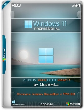 Windows 11 Professional (x64) 22H2.22621.1 by OneSmiLe