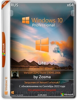 Windows 10 Pro (x64) Lite 22H2.19045.2006 by Zosma