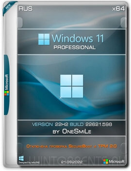 Windows 11 Pro (x64) 22H2.22621.598 by OneSmiLe
