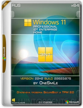Windows 11 (x64) 3in1 22H2.22623.875 by OneSmiLe